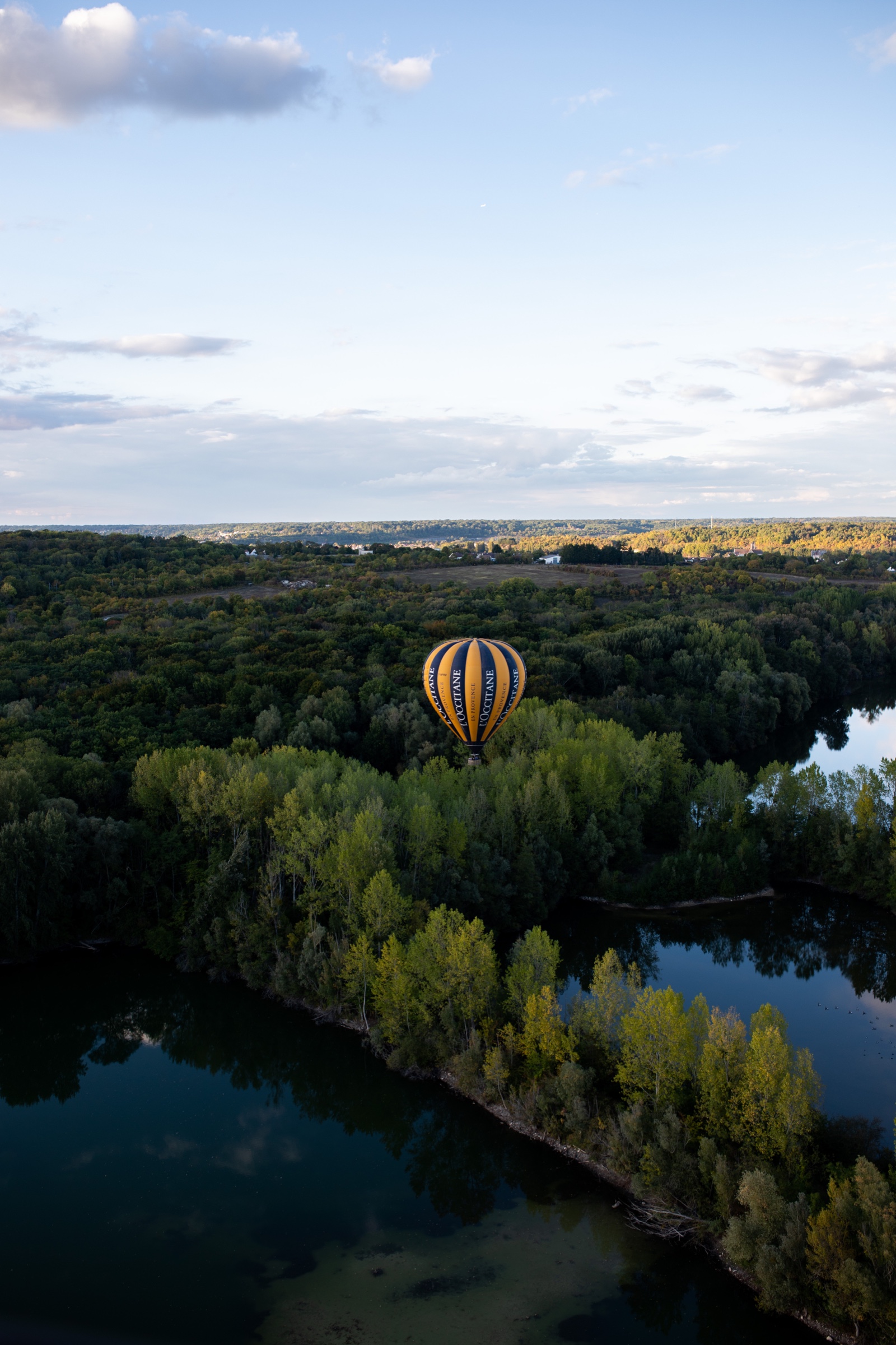 Montgolfière au-dessus de la forêt de Fontainebleau