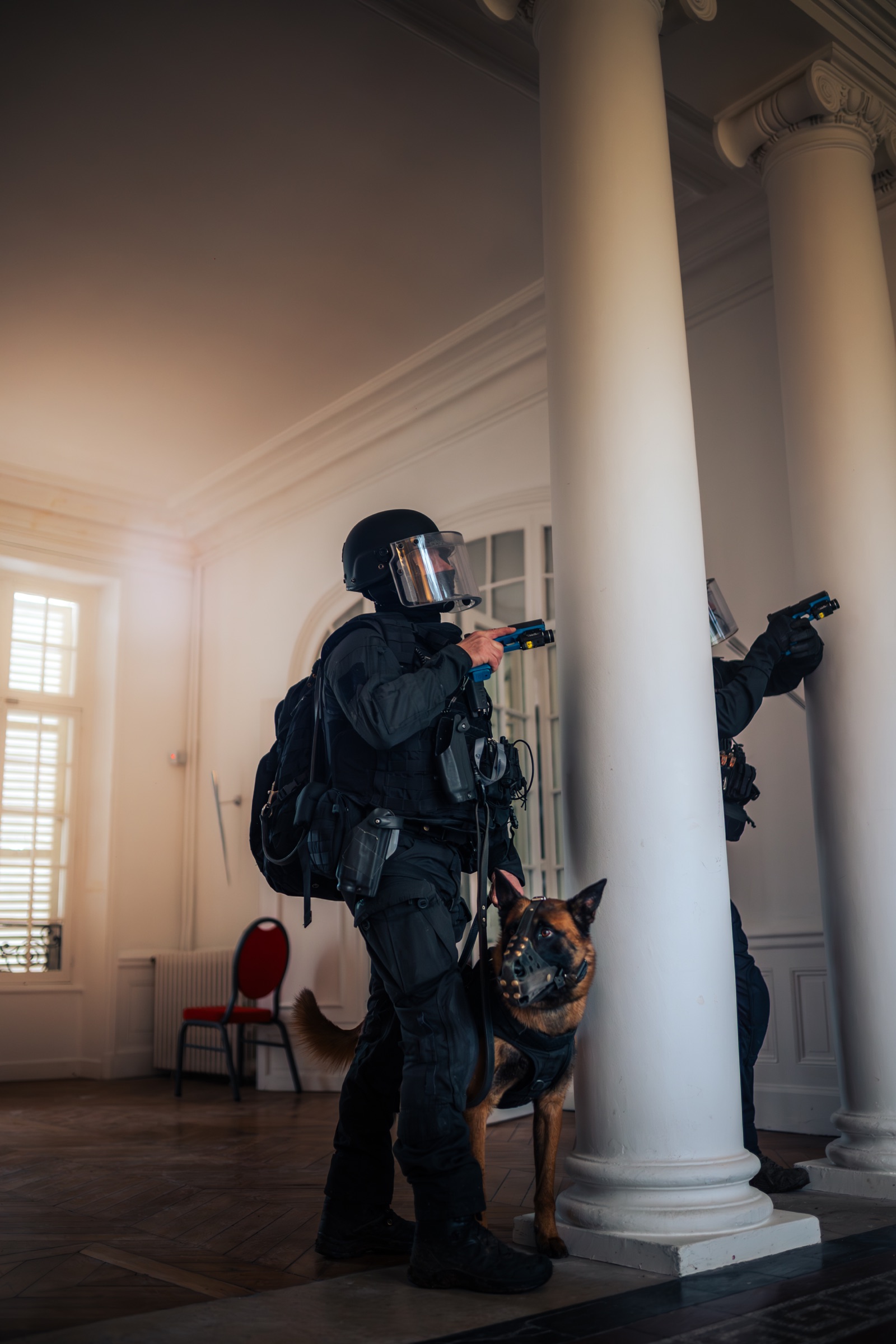 Intervention du RAID avec une unité canine