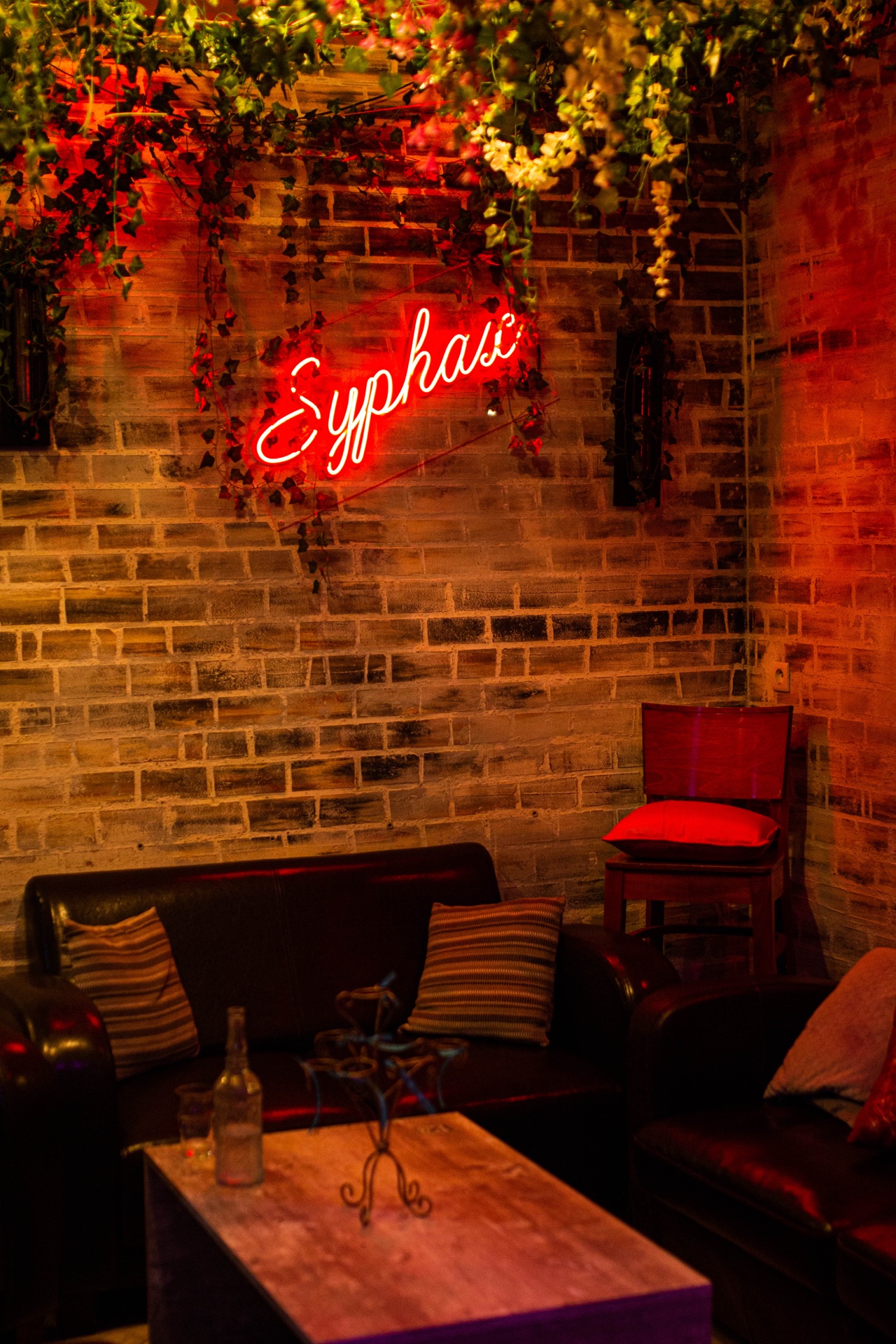 Néon Syphax dans l’atmosphère du bar